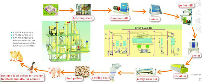 feed production line